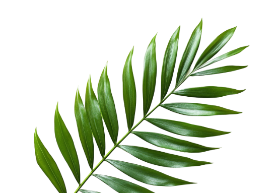 leaf decoration